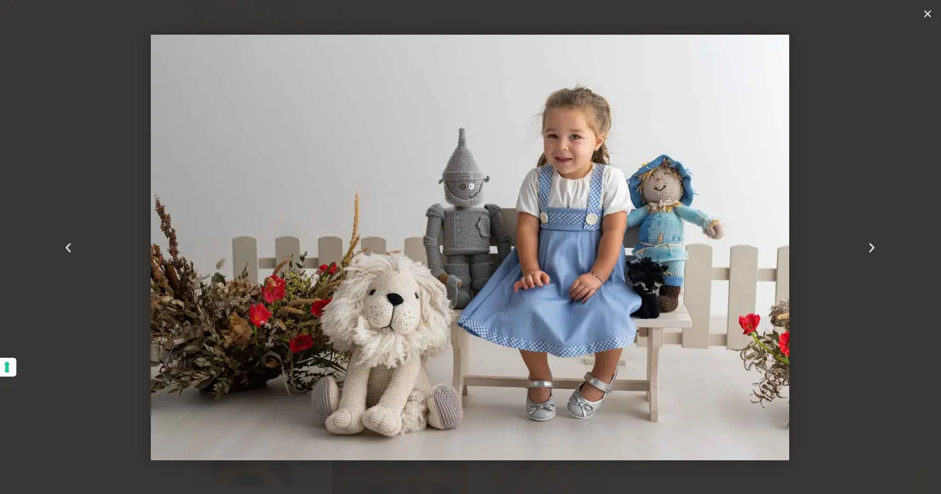 Ritratto fotografico di bambina in studio ispirato a Dorothy nel sito Imago Photography