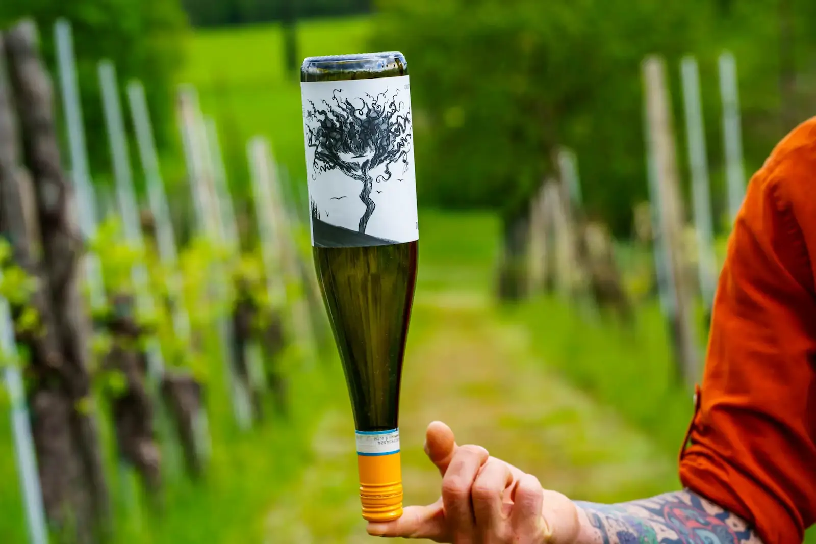 Bottiglia di vino Stefano Zoli in equilibrio nel vigneto
