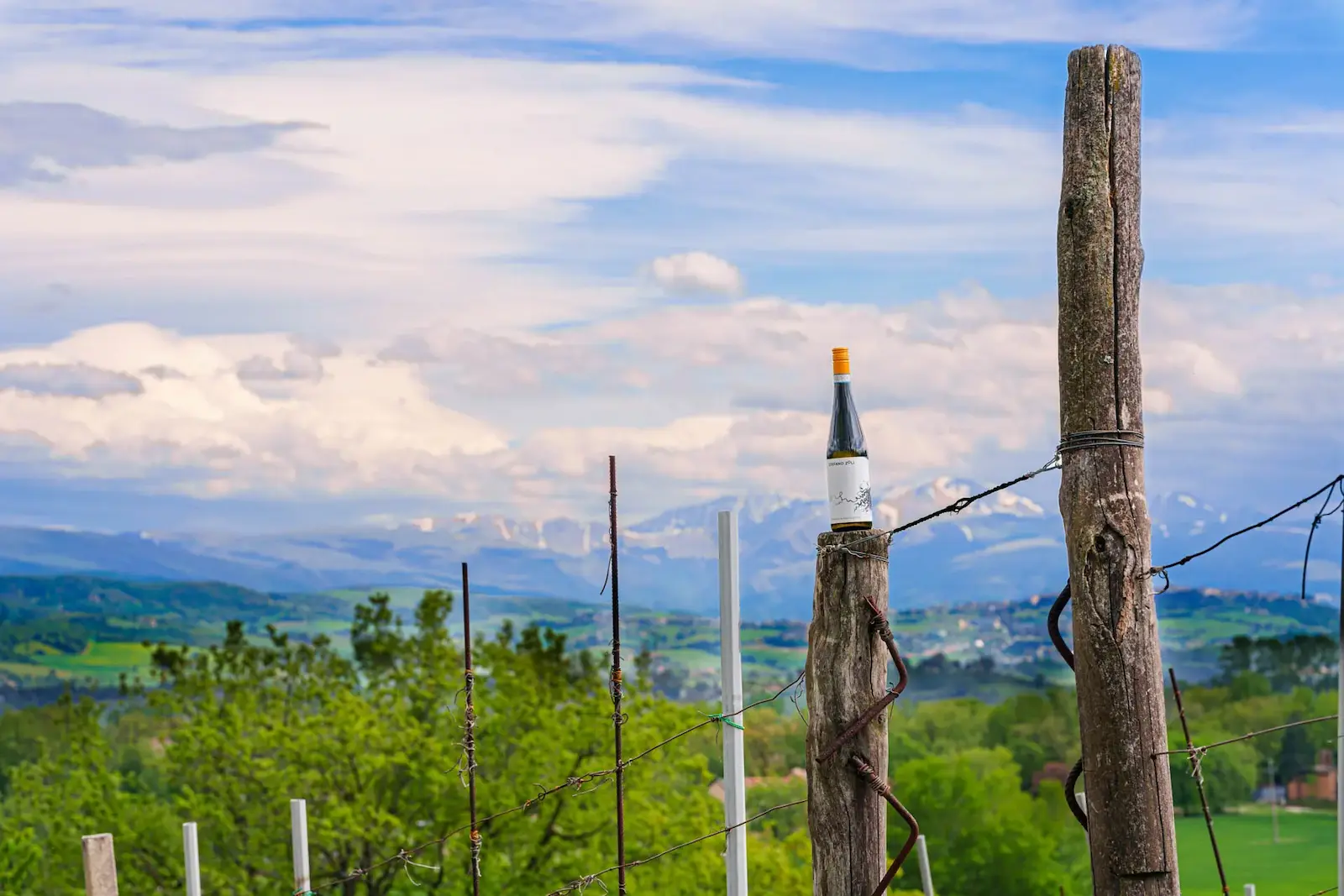 Bottiglia Stefano Zoli con paesaggio di Matelica sullo sfondo
