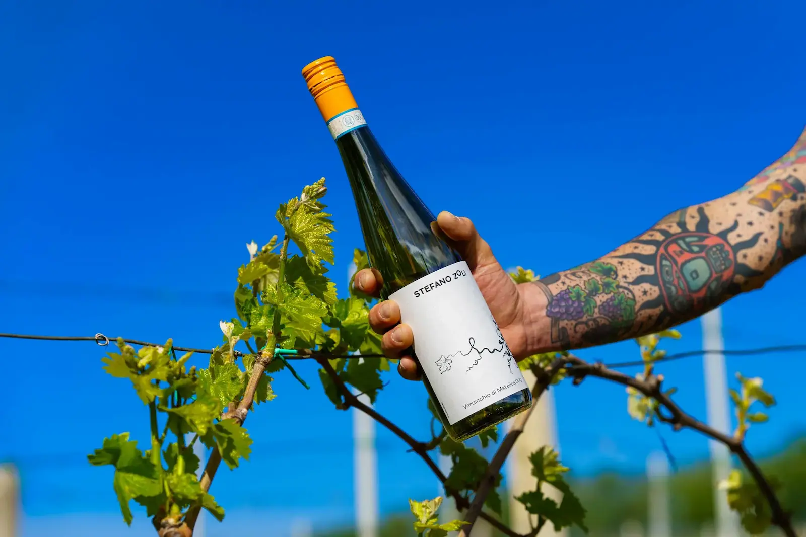 Mano che regge una bottiglia Stefano Zoli tra i filari del vigneto
