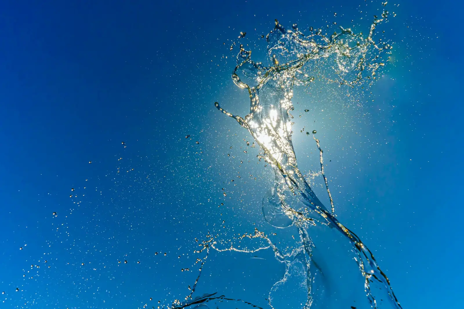 Splash di vino in controluce per il progetto Stefano Zoli