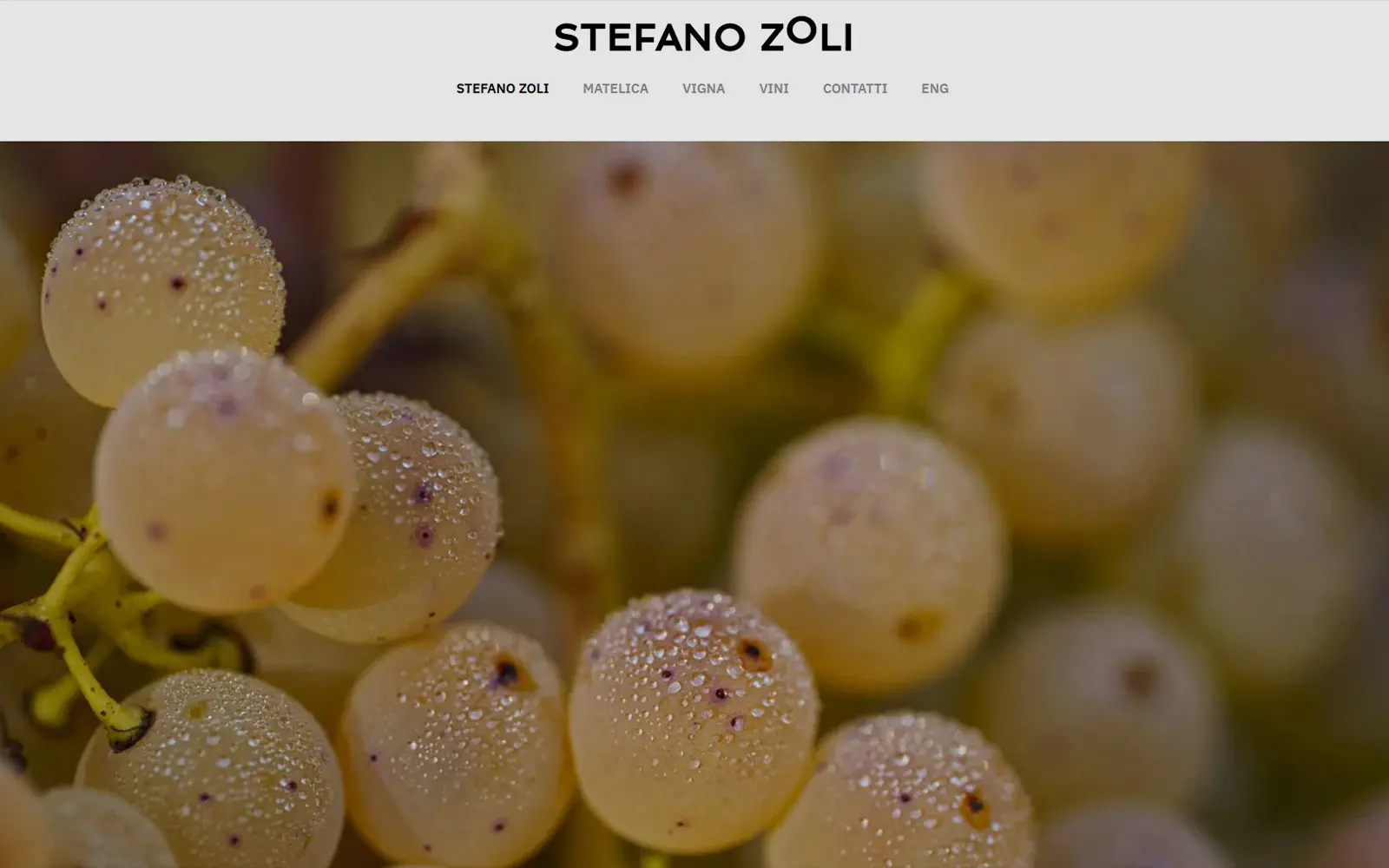 Case study Stefano Zoli, sito web e shooting fotografico per branding nel settore vino
